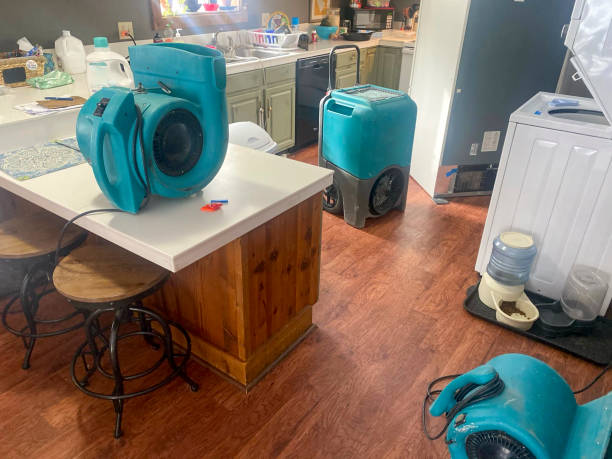 Best Local water damage restoration  in Okeechobee, FL