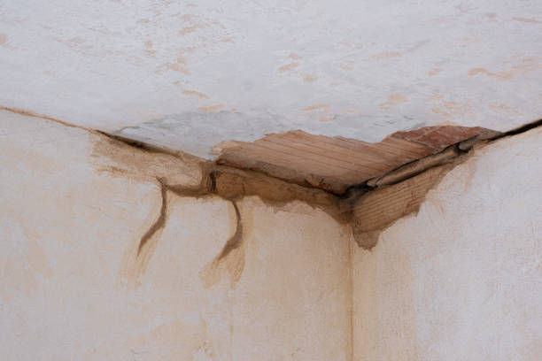Reliable Okeechobee, FL Water damage restoration Solutions