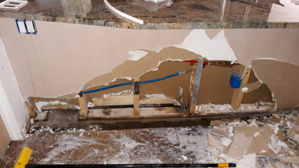 Best Water damage restoration services  in Okeechobee, FL