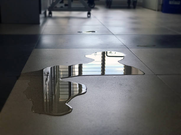 Best 24/7 water damage repair  in Okeechobee, FL