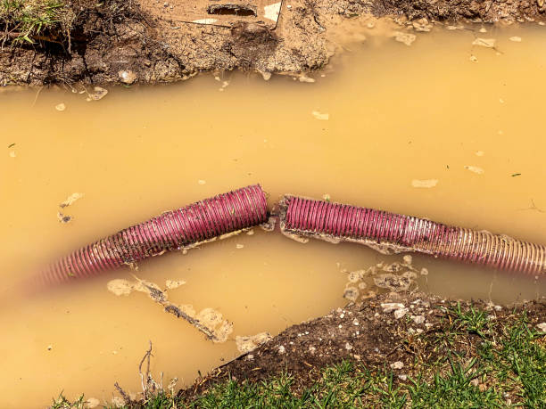 Best Water damage restoration near me  in Okeechobee, FL
