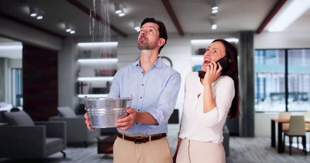 Best Basement water damage restoration  in Okeechobee, FL